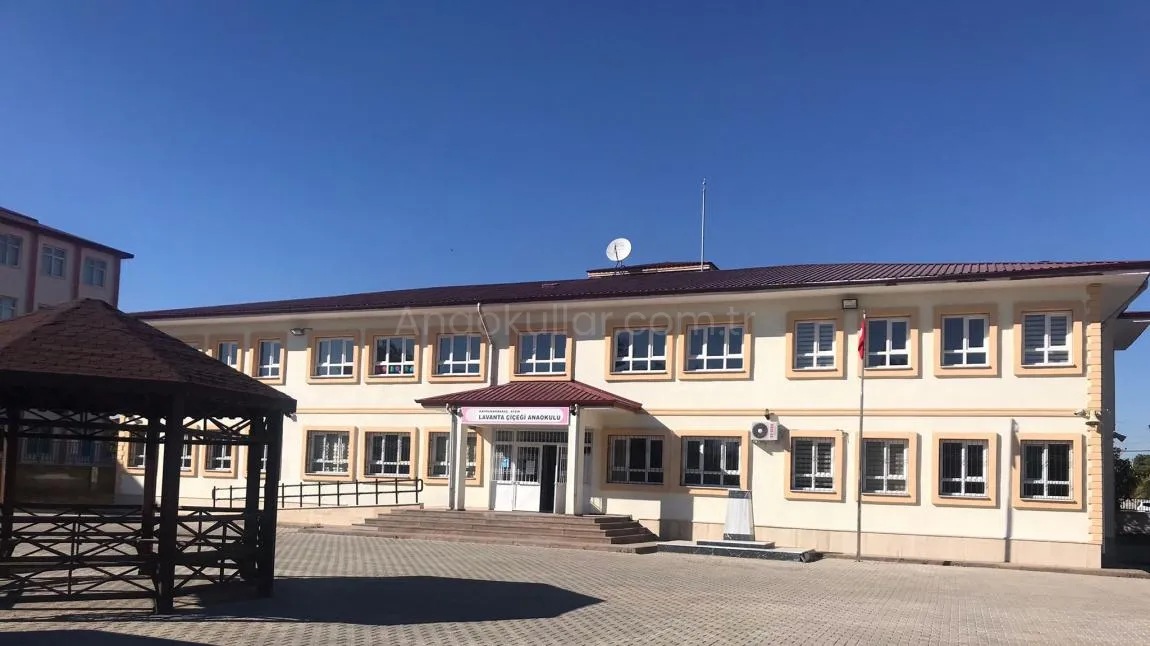 Lavanta Çiçeği Anaokulu
