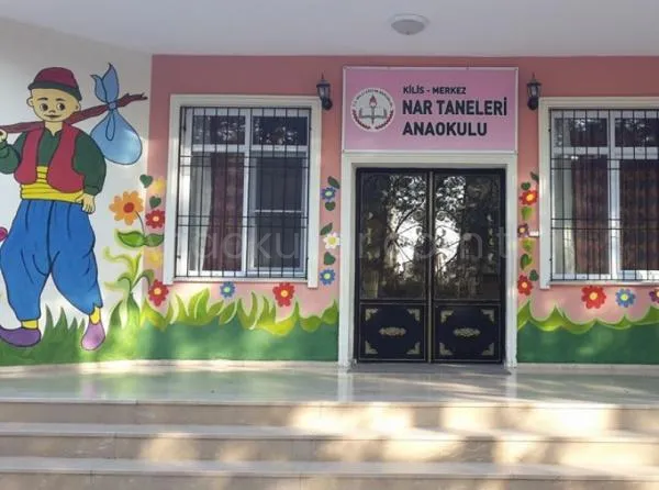 Nar Taneleri Anaokulu