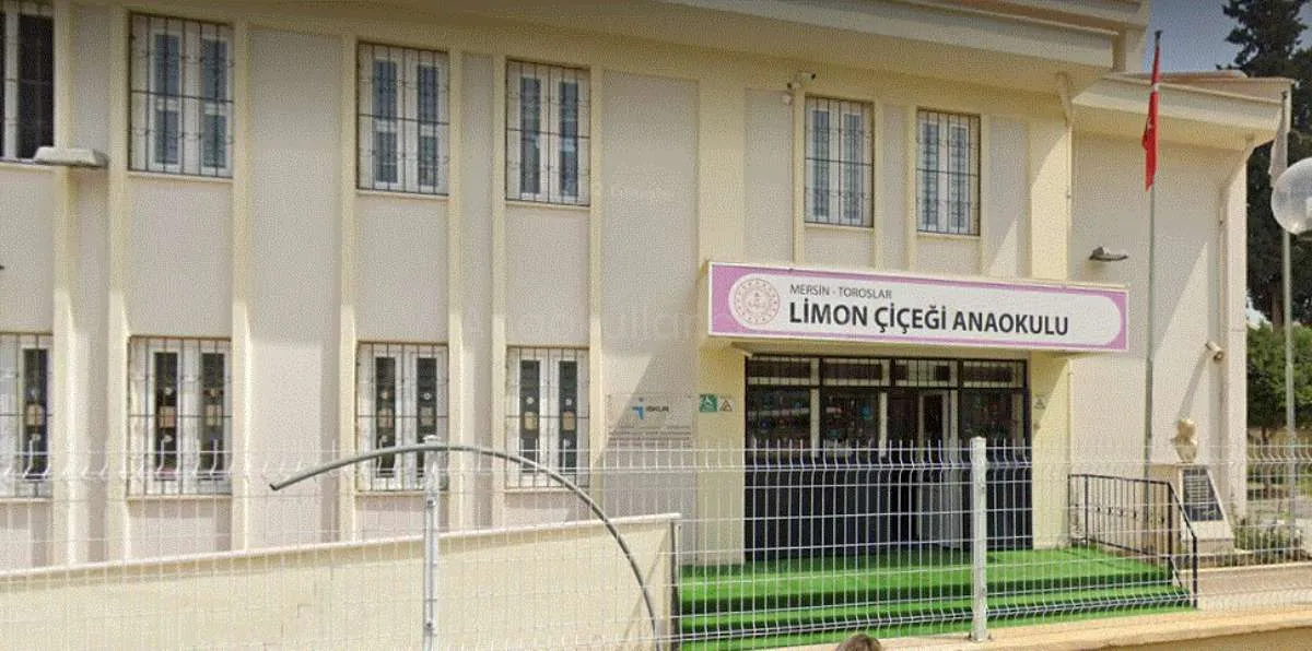 Limonçiçeği Anaokulu