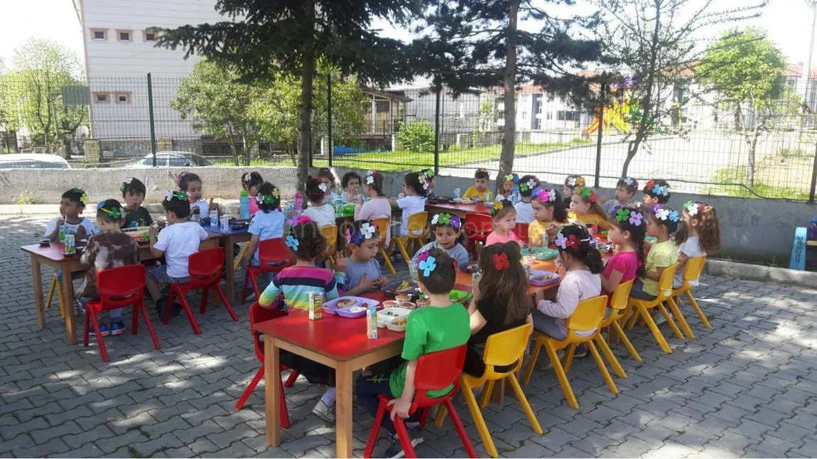 Hendek Nilüfer Hatun Anaokulu