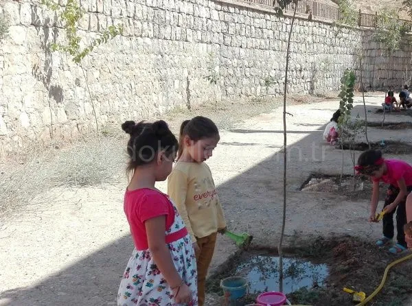 Sema Küçüksöz Anaokulu